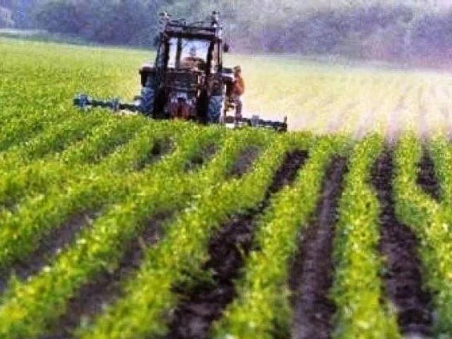 Terreno in vendita a Monselice, Padova