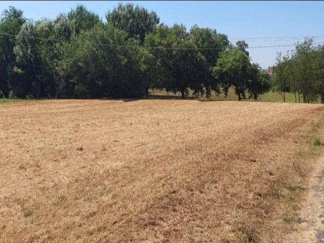 Terreno in vendita a Pozzarello, Montevettolini