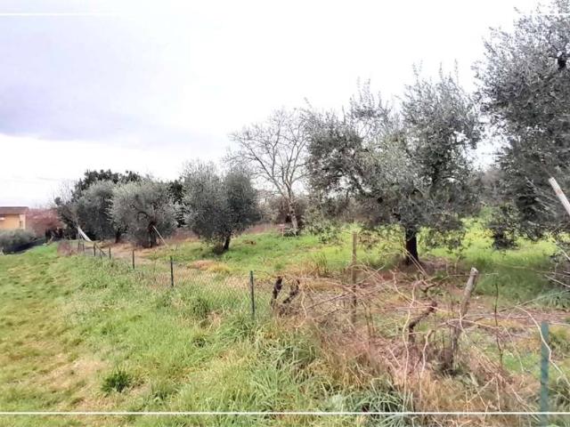 Terreno in vendita a Pozzarello, Montevettolini