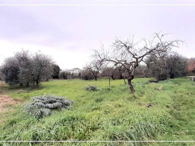 Terreno in vendita a Pozzarello, Montevettolini