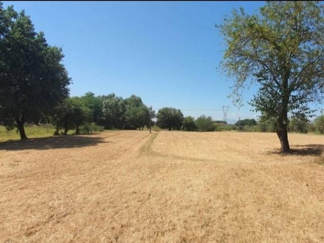 Terreno in vendita a Pozzarello, Montevettolini