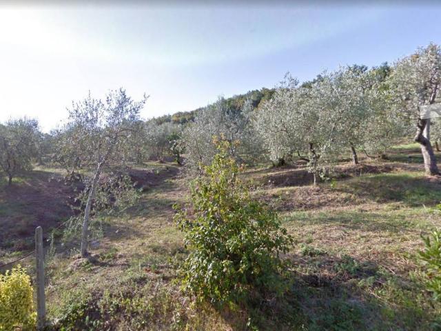 Terreno in vendita a Monsummano Alto, Montevettolini