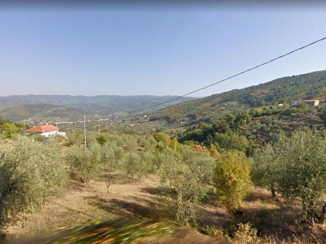 Terreno in vendita a Monsummano Alto, Montevettolini