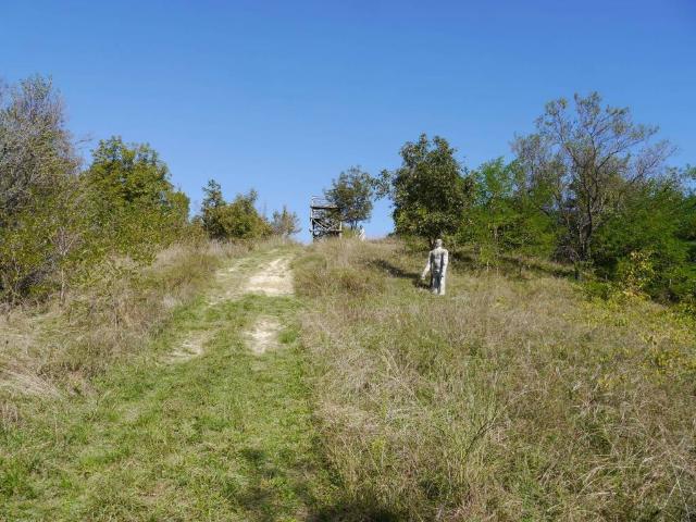 Terreno in vendita a Piemonte, Asti