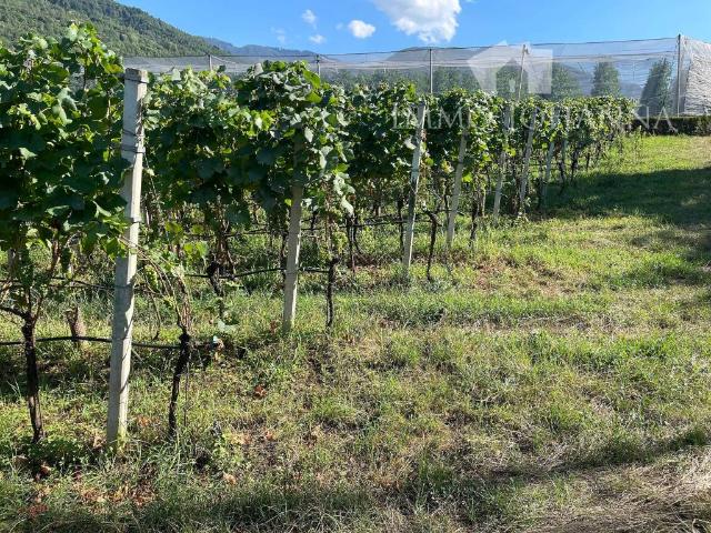 Terreno in vendita a Überetsch-Unterland - Oltradige-Bassa Atesina, Trentino-Alto Adige/Südtirol