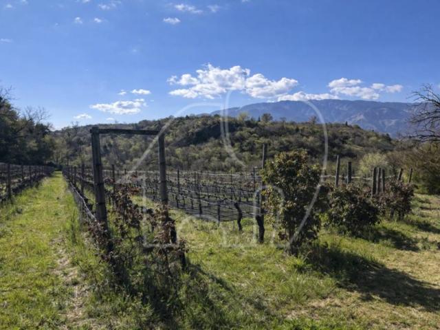 Terreno in vendita a Überetsch-Unterland - Oltradige-Bassa Atesina, Trentino-Alto Adige/Südtirol