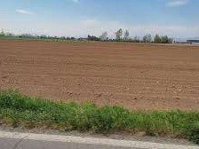Terreno in vendita a Montagnana, Veneto