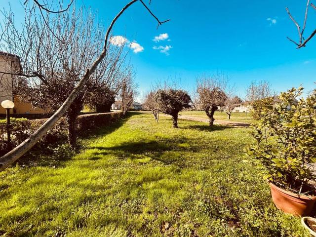 Terreno in vendita a Montagnana, Veneto