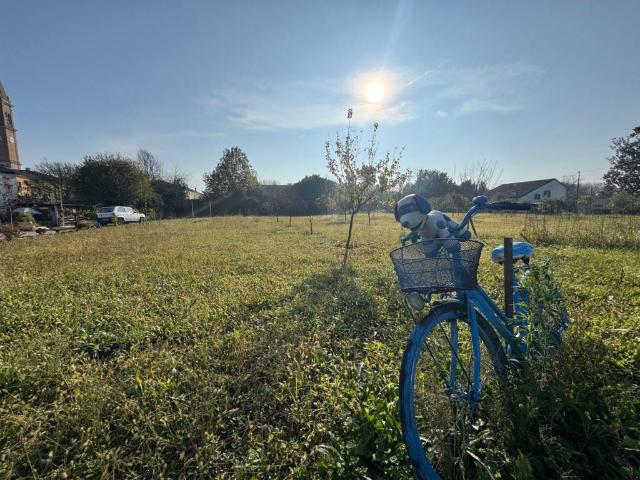Terreno in vendita a Montagnana, Veneto