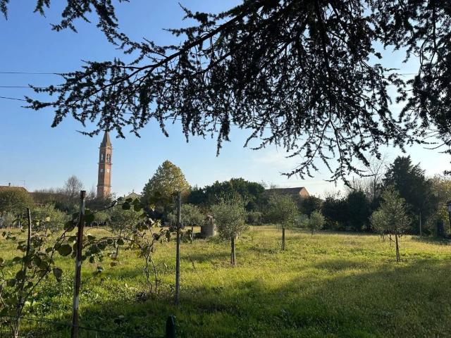 Terreno in vendita a Montagnana, Veneto