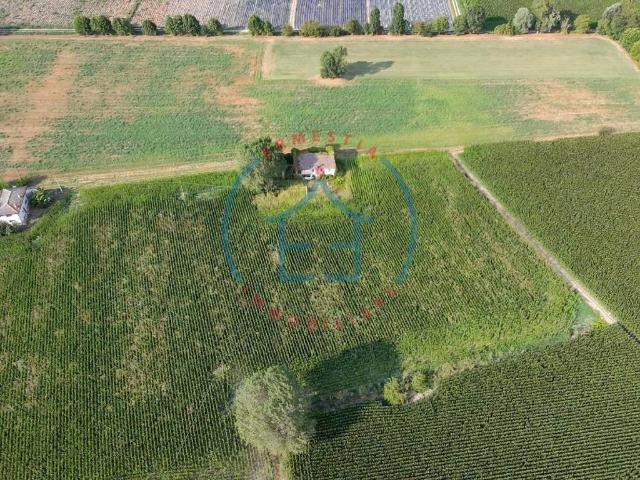 Terreno in vendita a Montagnana, Veneto