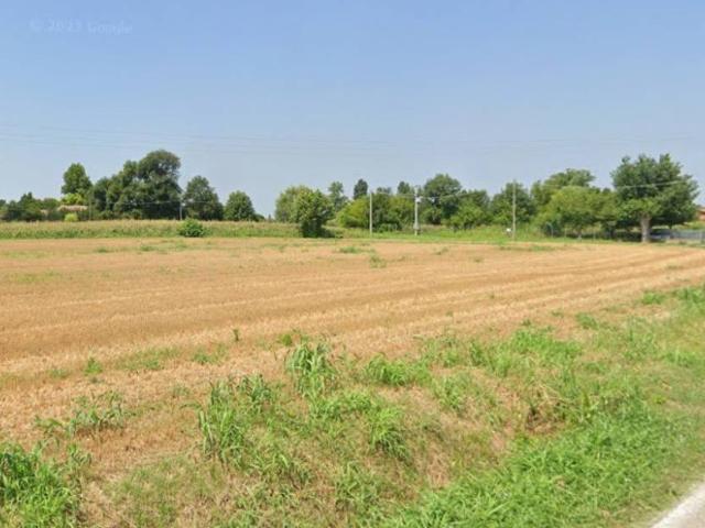 Terreno in vendita a Montagnana, Veneto