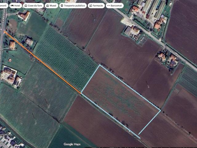 Terreno in vendita a Montagnana, Veneto