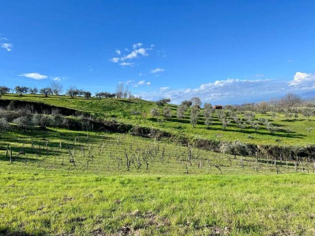 Terreno in vendita a Unione dei Comuni Circondario dell'Empolese Valdelsa, Montaione