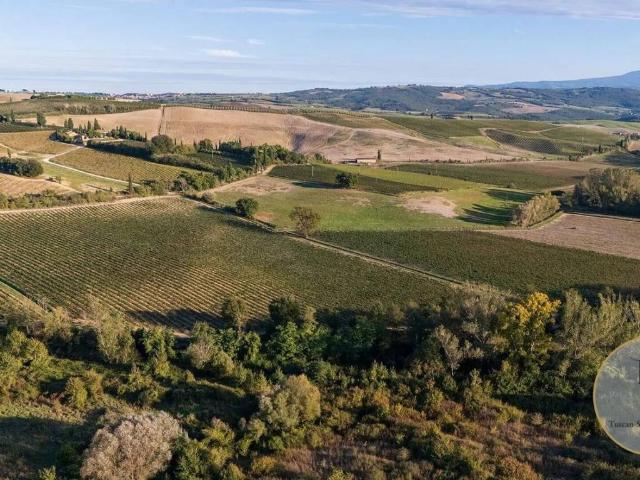 Terreno in vendita a Montalcino, Toscana