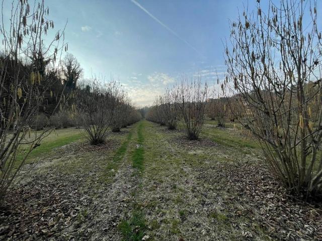 Terreno in vendita a Piemonte, Cuneo