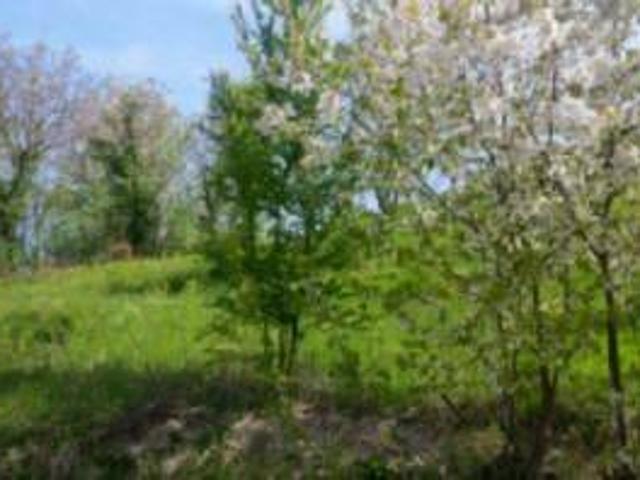 Terreno in vendita a Tetti Quaglia, Montaldo Torinese