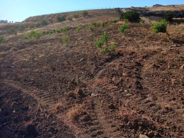 Terreno in vendita a Montallegro, Sicilia