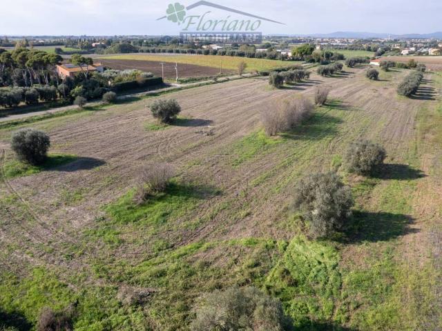 Terreno in vendita a Montalto Di Castro, Lazio
