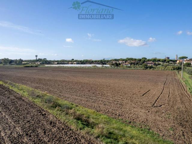 Terreno in vendita a Montalto Di Castro, Lazio