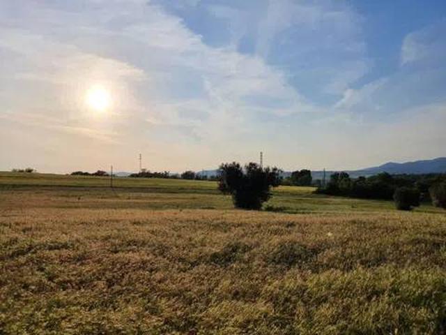 Terreno in vendita a Montalto di Castro, Viterbo