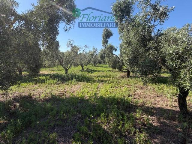 Terreno in vendita a Montalto Di Castro, Lazio