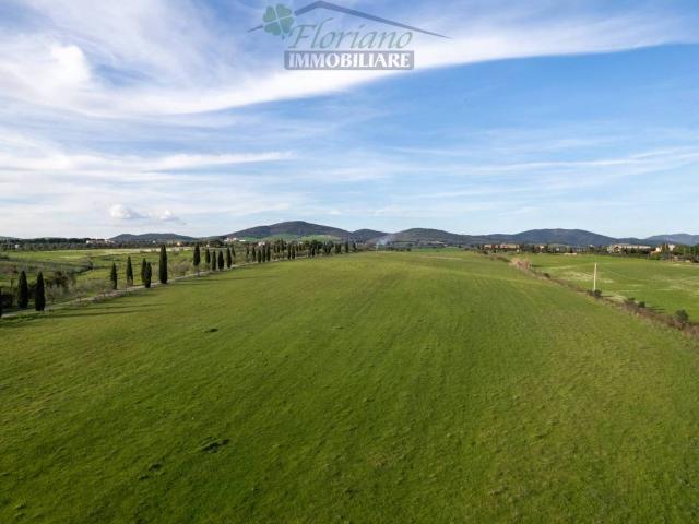 Terreno in vendita a Montalto Di Castro, Lazio