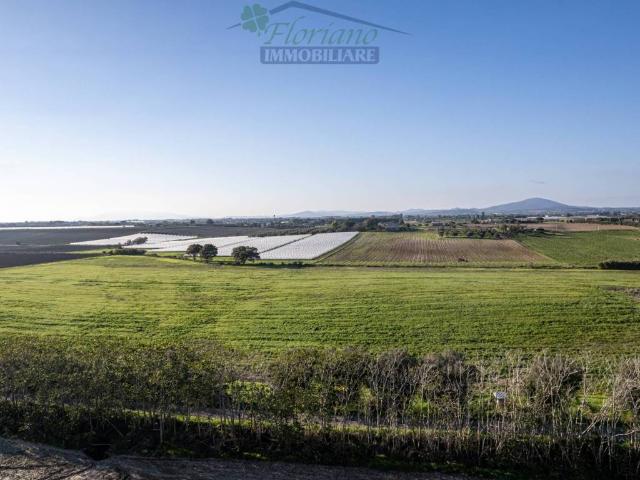 Terreno in vendita a Montalto Di Castro, Lazio