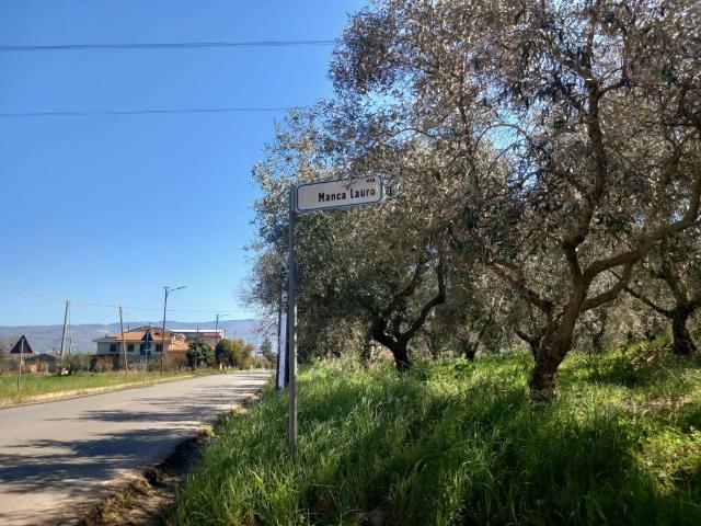Terreno in vendita a Calabria, Cosenza