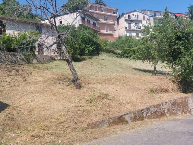 Terreno in vendita a Calabria, Cosenza