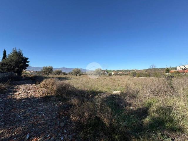Terreno in vendita a Calabria, Cosenza