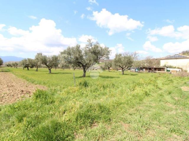 Terreno in vendita a Calabria, Cosenza