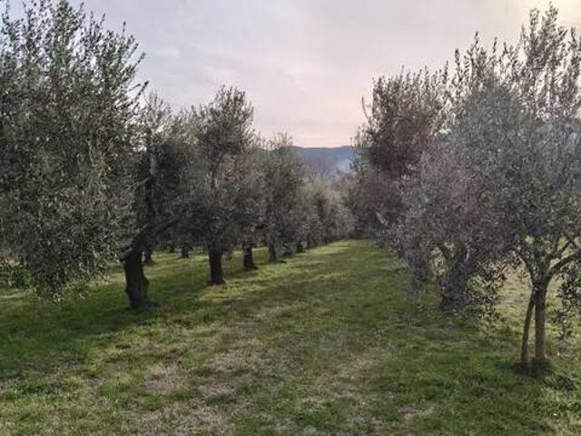 Terreno in vendita a Montaquila, Molise