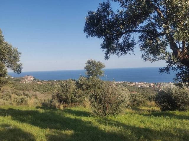 Terreno in vendita a Calabria, Catanzaro