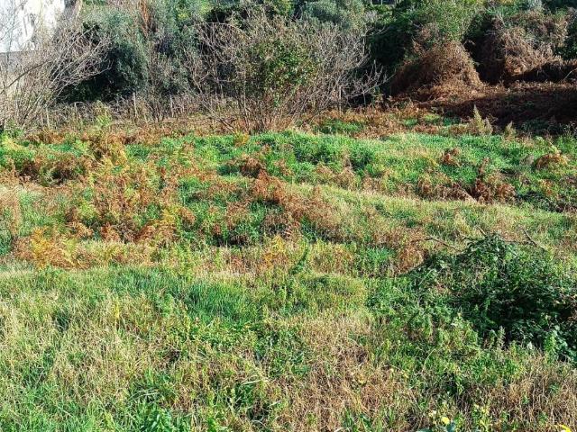 Terreno in vendita a Monte Di Procida, Campania