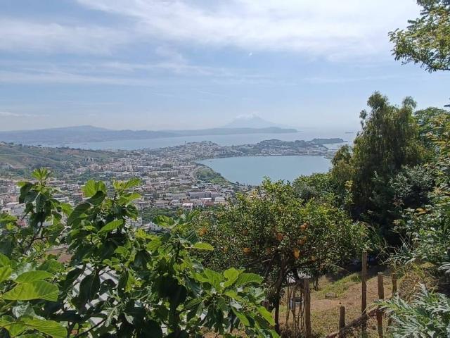 Terreno in vendita a Monte Di Procida, Campania