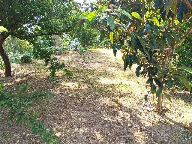 Terreno in vendita a Monte Di Procida, Campania