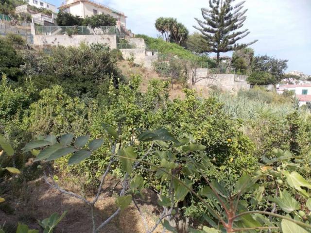 Terreno in vendita a Monte Di Procida, Campania