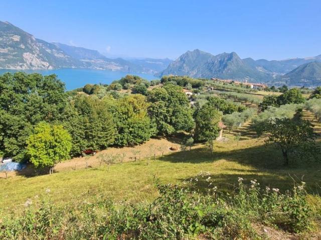 Terreno in vendita a Comunità montana del Sebino bresciano, Monte Isola