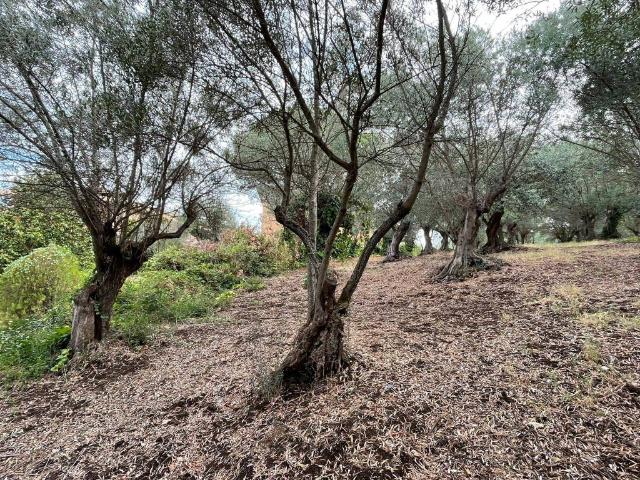 Terreno in vendita a Roma Capitale, Lazio