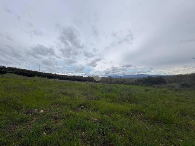 Terreno in vendita a Monte Romano, Lazio