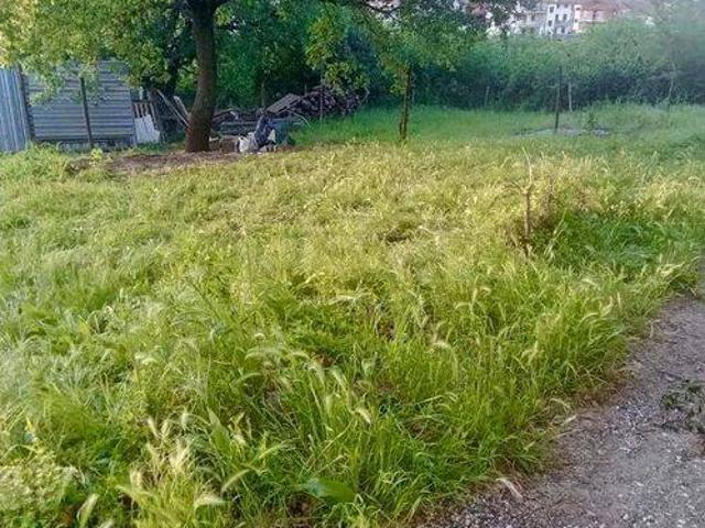Terreno in vendita a Monte Romano, Lazio