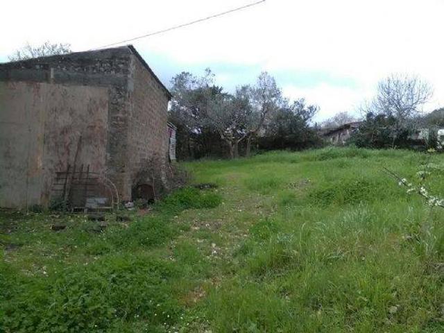Terreno in vendita a Monte Romano, Lazio