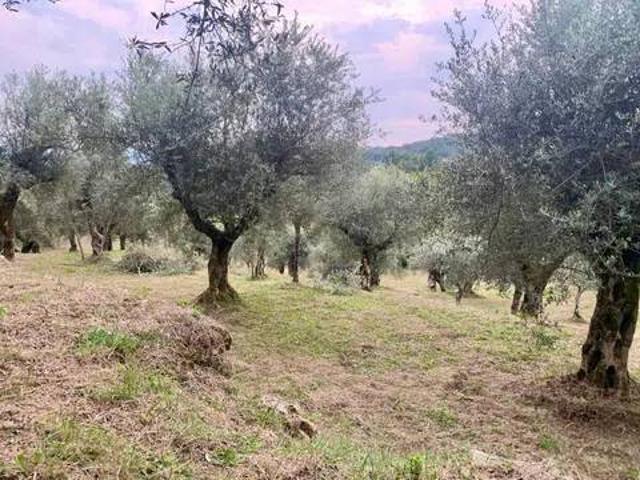 Terreno in vendita a Monte San Giovanni Campano, Frosinone