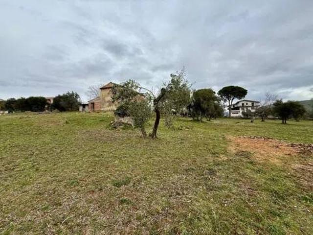 Terreno in vendita a Monte San Giovanni Campano, Frosinone