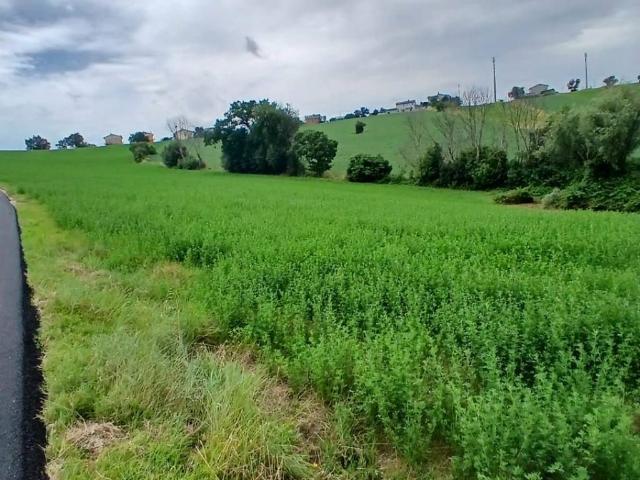 Terreno in vendita a Marche, Macerata