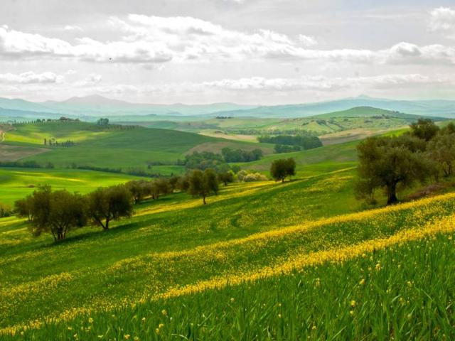 Terreno in vendita a Marche, Fermo