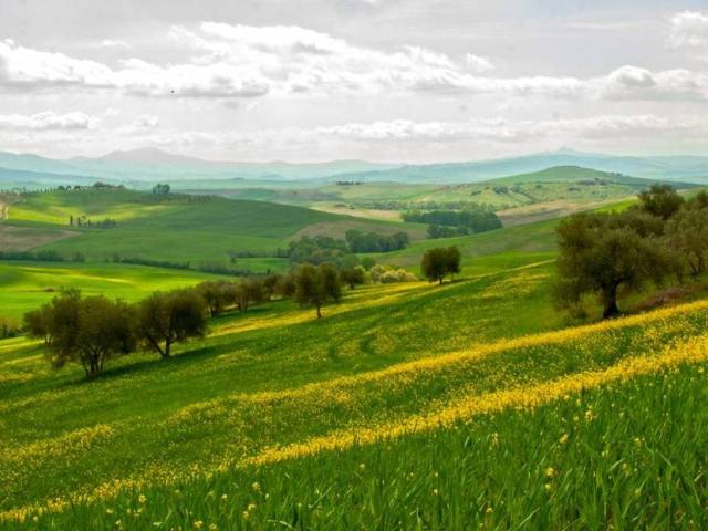 Terreno in vendita a Marche, Fermo