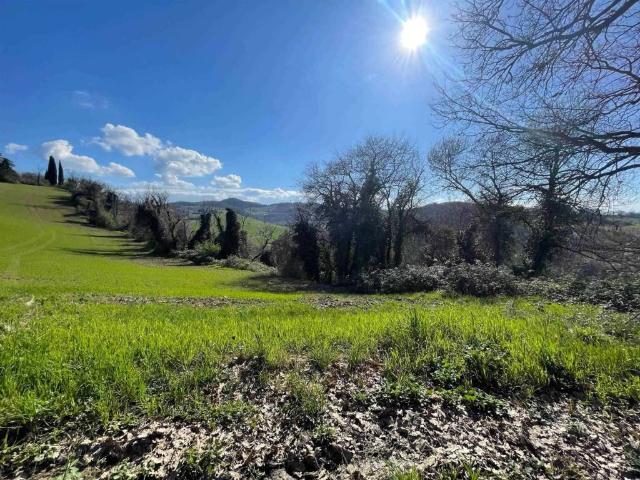 Terreno in vendita a Unione dei comuni Valli del Reno, Lavino e Samoggia, Monte San Pietro