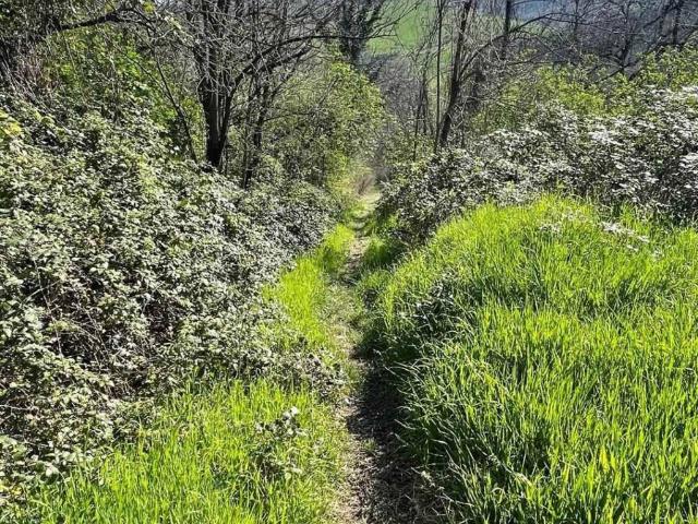 Terreno in vendita a Unione dei comuni Valli del Reno, Lavino e Samoggia, Monte San Pietro